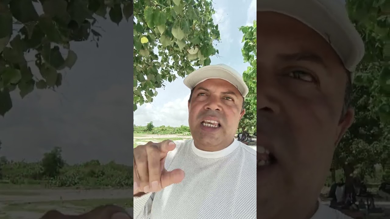 Will you get back if you lose money to cyber fraud? 