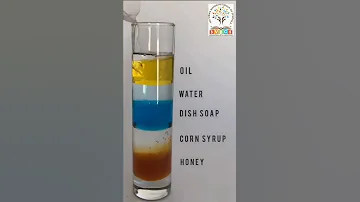 The Density Of Different Liquids A Fun Science Experiment That Deals With Density Of Various Objects 