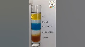 The Density of Different Liquids a fun science experiment that deals with density of various objects