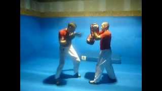 Army Hand To Hand Combat Combat Sport - Pad Work 1