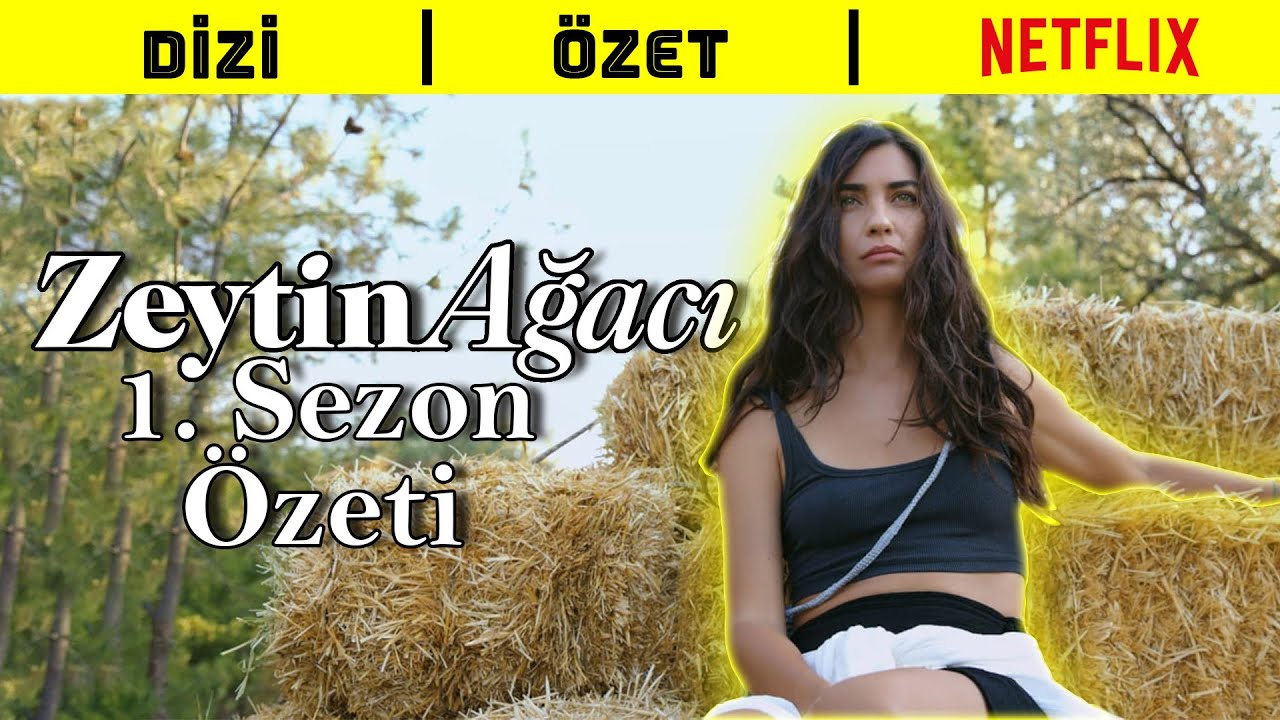 Zeytin Ağacı 1. Sezon Özet | Netflix