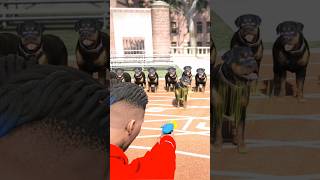 Chop Running Race Gone Wrong - Gta 5