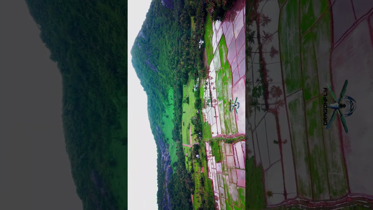 Kavanadu , Kodakkara     