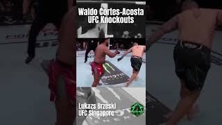 Waldo Cortes-Acosta Ufc Knockouts All Oddsmokermma