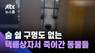 '택배상자'서 죽어간 동물들…중, 불법운송 또 적발 / JTBC 뉴스룸