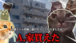 猫ミームだけで10万人行った人の質問コーナー