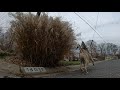 Running Tommy WowGo AT2 @ 16mph - goPro 11 HB [4K] 30fps test