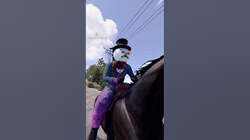 Rust Horses Are Fragile