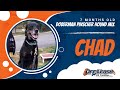 Nervous and Reactive Doberman, Chad! Amazing Transition Video! Ecollar Training in Virginia Nervous and Reactive Doberman, Chad! Amazing Transition Video! Ecollar Training in Virginia