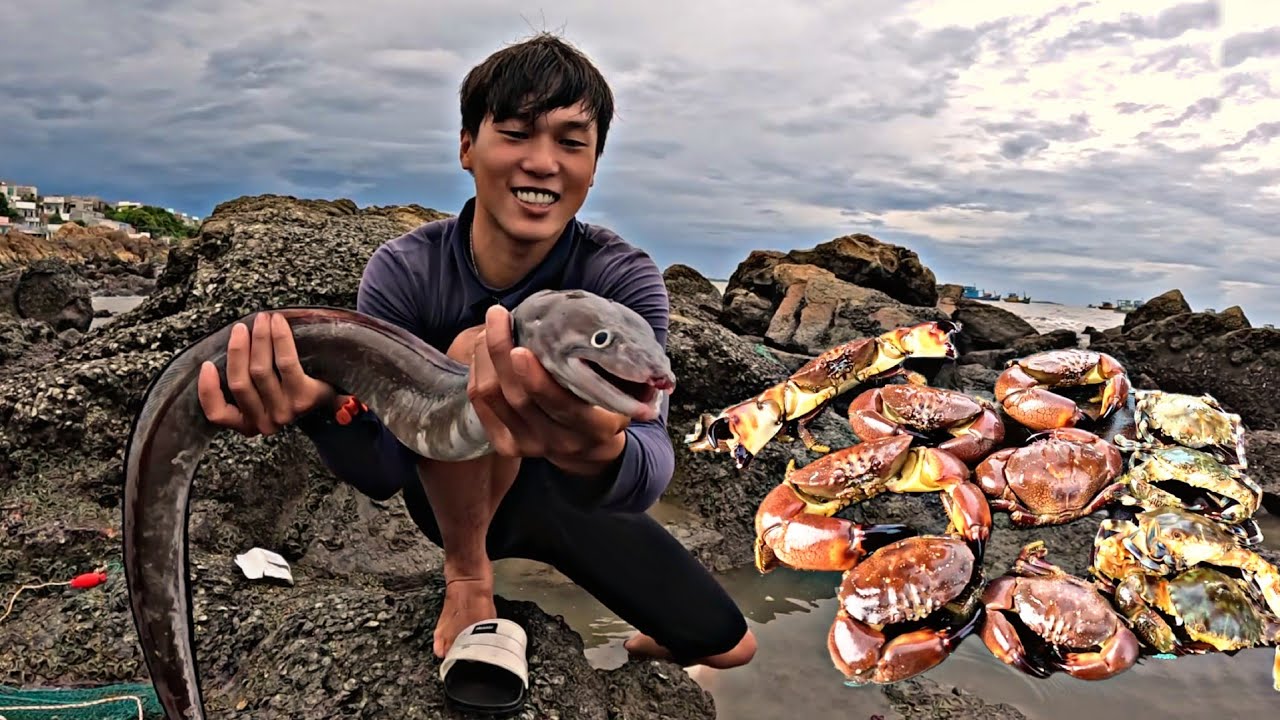 Thủy Quái Cá LẠC | Đi Bẫy Rạp Đầu Mùa Trúng Được Ổ Cua | P 706