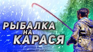 РЫБАЛКА НА КАРАСЯ / ГОТОВИМ КАРАСЯ / КАРАСЬ БЕЗ КОСТЕЙ