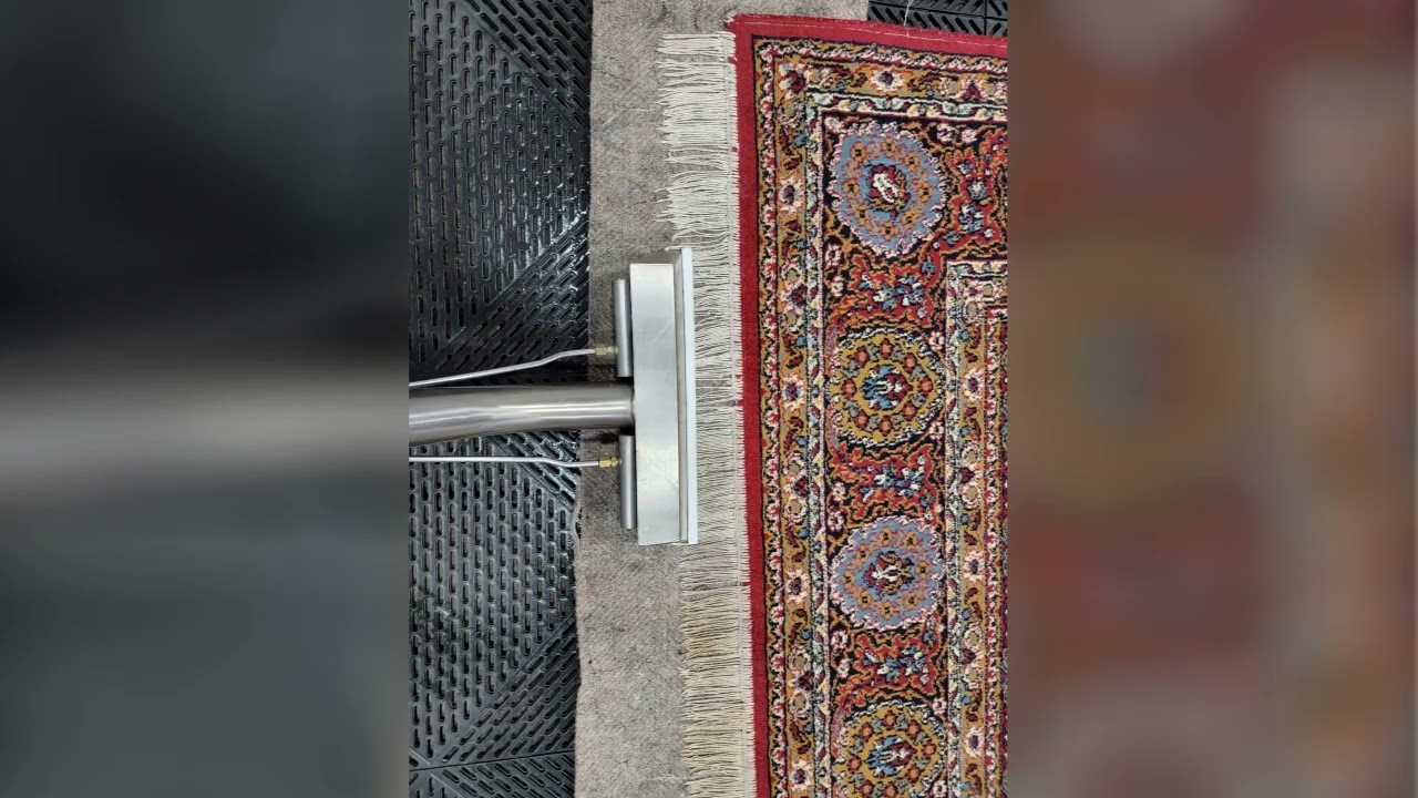 Professional Carpet & Rug Cleaning Chicago: Stains, Pet Odors, Upholstery Experts