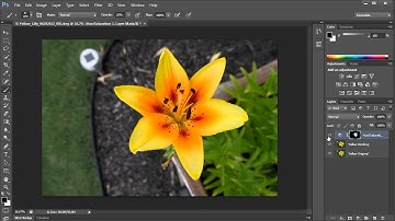 Photoshop CS6 Selective Colorization using Adjustment Layers and Masks