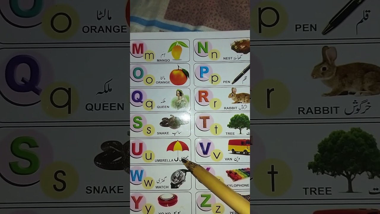 q -  z vocabulary words Preschool | General knowledge | Montessori | kindergarten | Homeschool learn