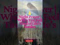Night Prayer When You Feel Tired of Life’s Battles #FaithOverFear #NightPeace
