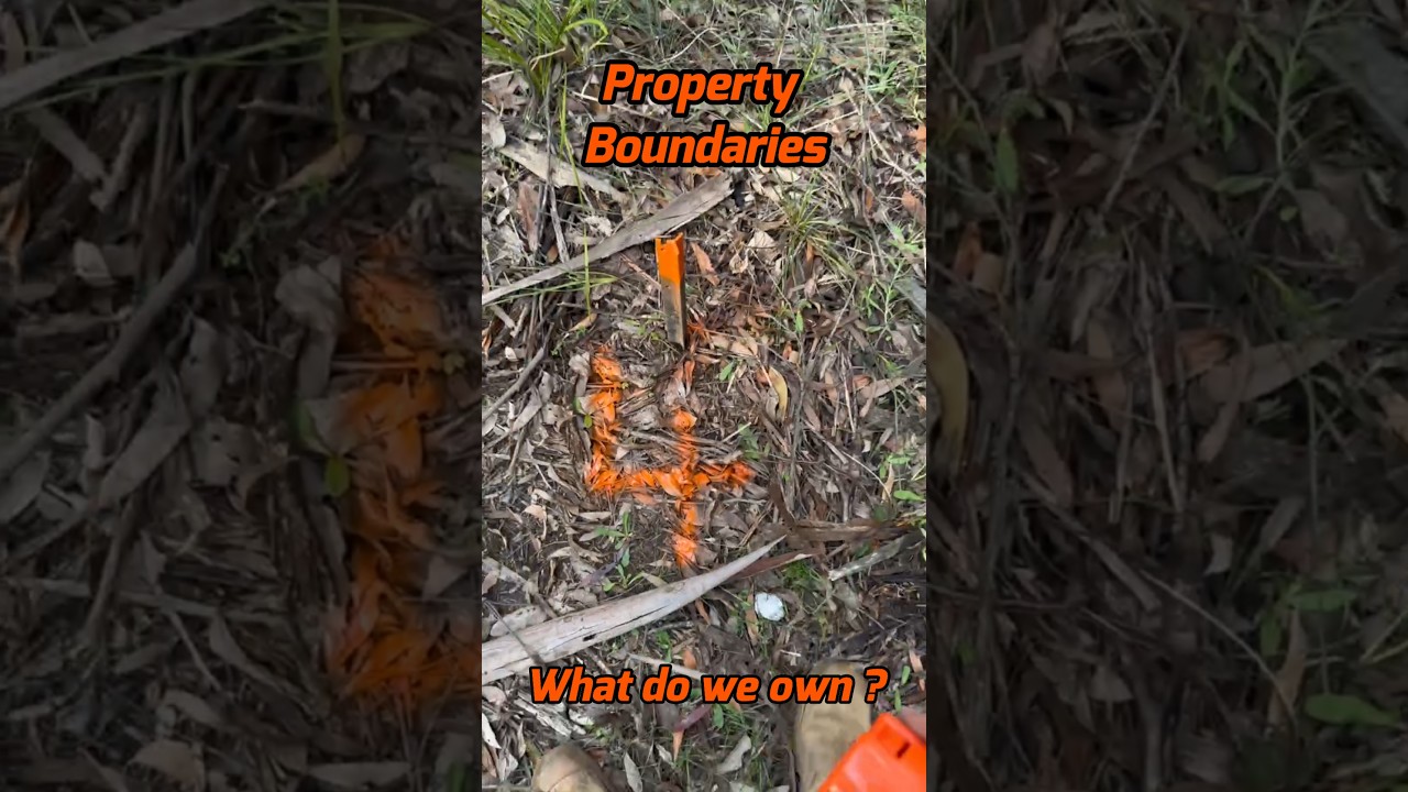 Определение границ земельного участка для проведения межевания - 2026 #01