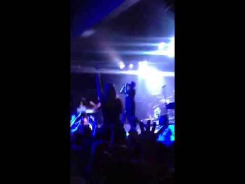 Example live show