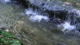 Fall Creek, Warriors’ Path State Park (4th part) -- Ambient Water Sounds 4K