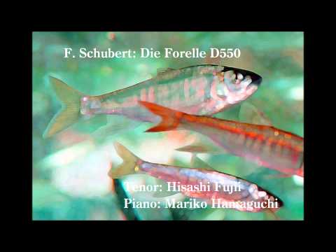 シューベルト：ます　（鱒）　F.Schubert： Die Forelle D550