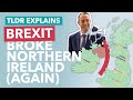 DUP vs EU: How Brexit Broke Northern Ireland... Again - TLDR News