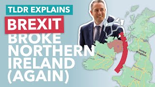 DUP vs EU: How Brexit Broke Northern Ireland... Again - TLDR News