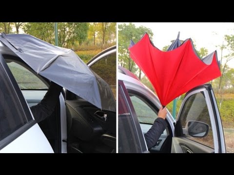 Video: Telapak Payung, Atau Corypha