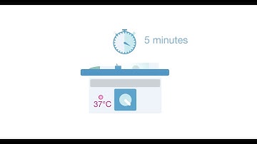 Recommended FISH protocol for Cytocell Aquarius® AML and MDS FISH Probe Kits only