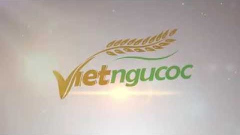 Ngũ cốc Việt Đài