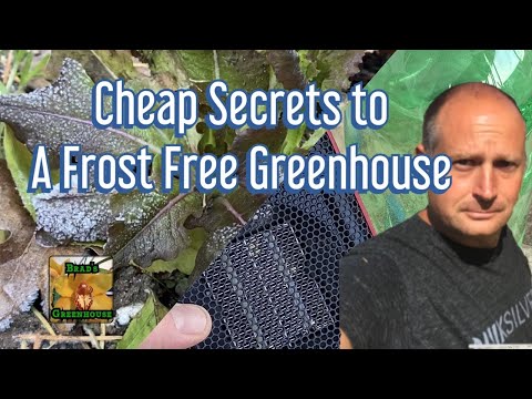 Video: Covering The Greenhouse With Spunbond Saved From Heat And Cold