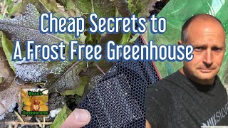 MUST KNOW CHEAP SECRETS FOR A FROST FREE GREENHOUSE  Protect Plants from Cold