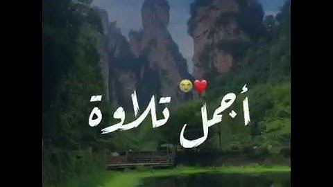 قرآن كريم بصوت سعد الغامدي 💚 || حالات واتس اب دينية || مقاطع دينية قصيرة