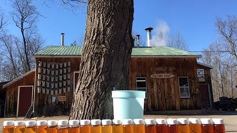 Making Maple Syrup with Shirley from Fulton