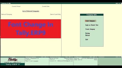 FONT CHANGE IN TALLY.ERP9