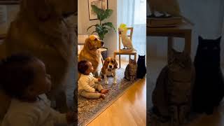 Babagai Verteilt Noten