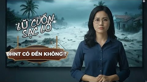 LŨ CUỐN, SẠC LỞ, BHNT CÓ ĐỀN KHÔNG ?