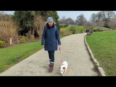 Walking tour of Calverley Grounds | Tunbridge Wells | Kent | England | UK