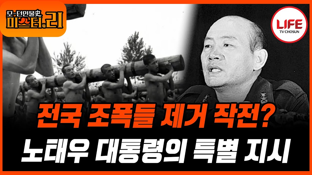 [#모던인물사미스터리] (1시간) 대한민국 전체를 휩쓴 조직폭력배들, 긴장감 가득했던 그때 그 시절 (TV CHOSUN 250608 방송)