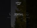 وعسى أن تكرهوا شيئ ا وهو خير لكم سورة البقرة اسم القارئ مشاري العفاسي