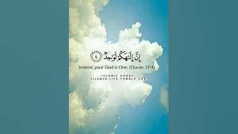 لا اله الا الله محمد رسول الله القران الكريم.