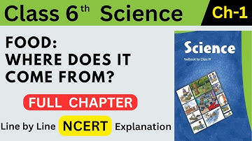 Class 6 Science Chapter 1 Food Where does it come from? | Line by Line NCERT Explanation