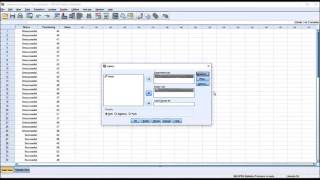 Understanding the Levene's Test for Equality of Variances in SPSS