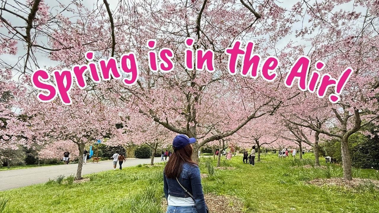 Spring in Auckland | Cherry Blossoms at Botanic Gardens, Thai Food & Farro Grocery Vlog