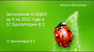 Заполнение 6-НДФЛ за 4 кв.2022 года с учетом нового порядка учета доходов в  1С БП 8.3