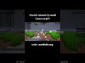 Сайт: zenithdlc.org, promo: Frog #zenith #мем #bestdlc #minecraft #майнкрафт #frog