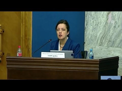 თამარ ალანიამ დეპუტატების კითხვებს უპასუხა