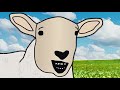 Film Sheep