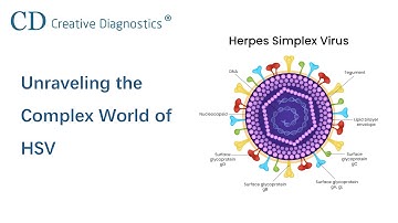 Unraveling the Complex World of HSV