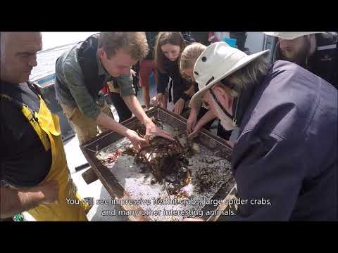 Trailer honours course