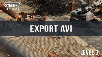 12.4a - Synchro Training: Export AVI
