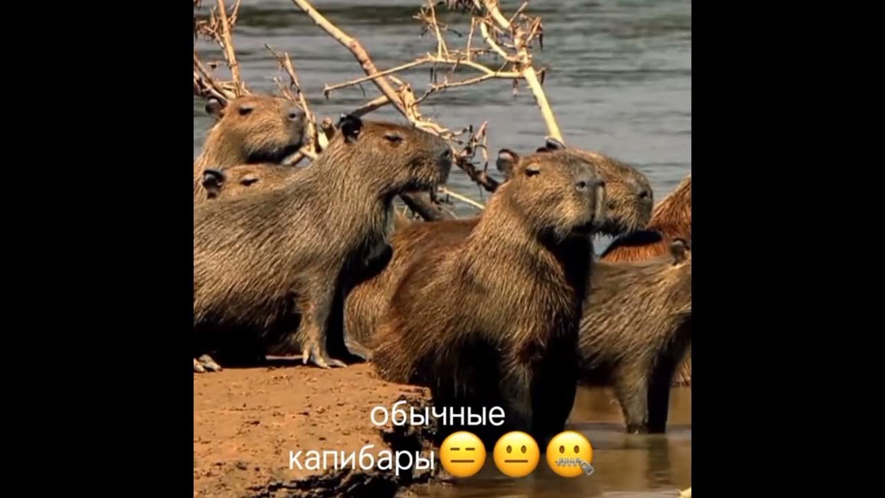 вейк ап ту риалити - YouTube